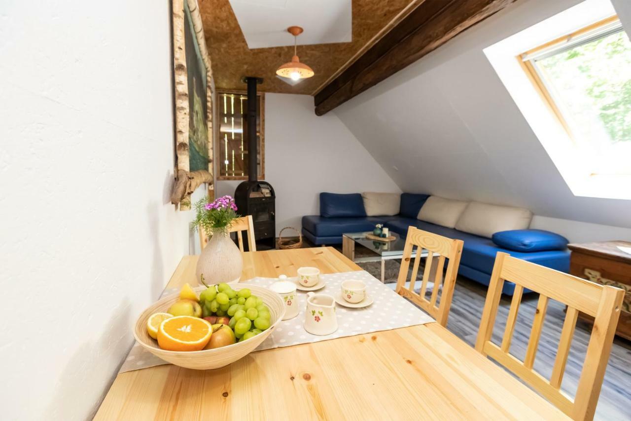 Apartma Waterfall Slap Bohinj Εξωτερικό φωτογραφία